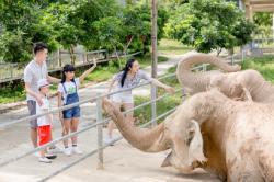 Mường Thanh dự kiến xây vườn thú Zoo Safari rộng 4ha tại khu đô thị Thanh Hà