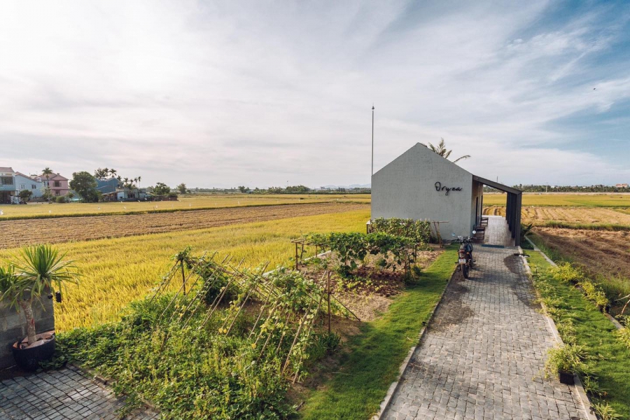 Bán siêu phẩm nghỉ dưỡng Papa Farm Riverside cực đẹp.