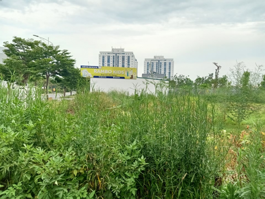 BÁN ĐẤT ĐÀ LẠT